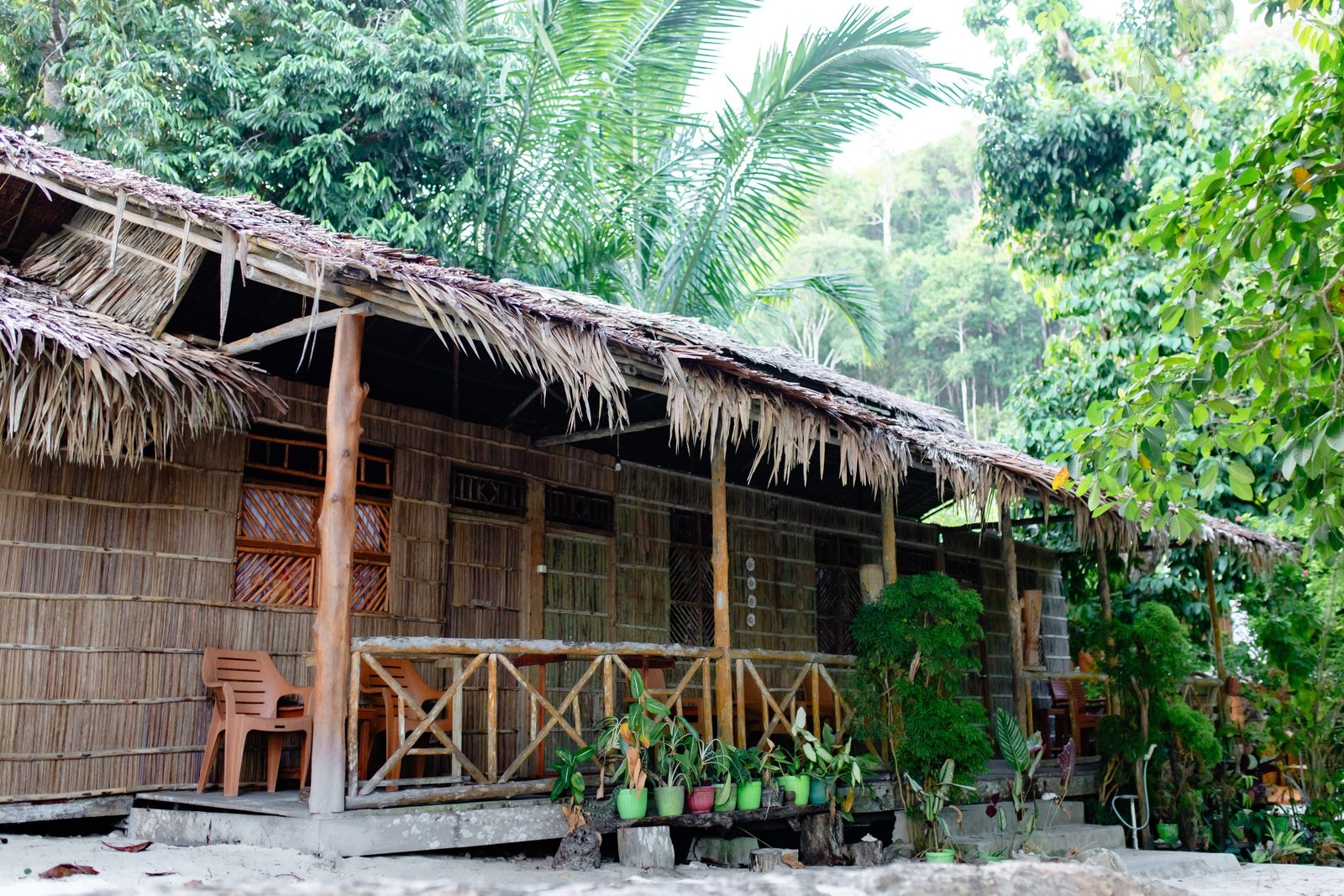 Homestay Papuarts Native Stay